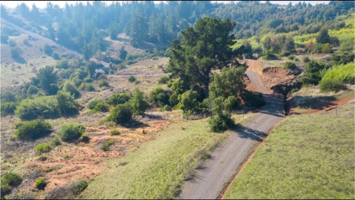 Camino interior de Altos de Nahuelcura