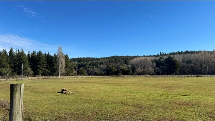 Fotografía 10 de El Dorado