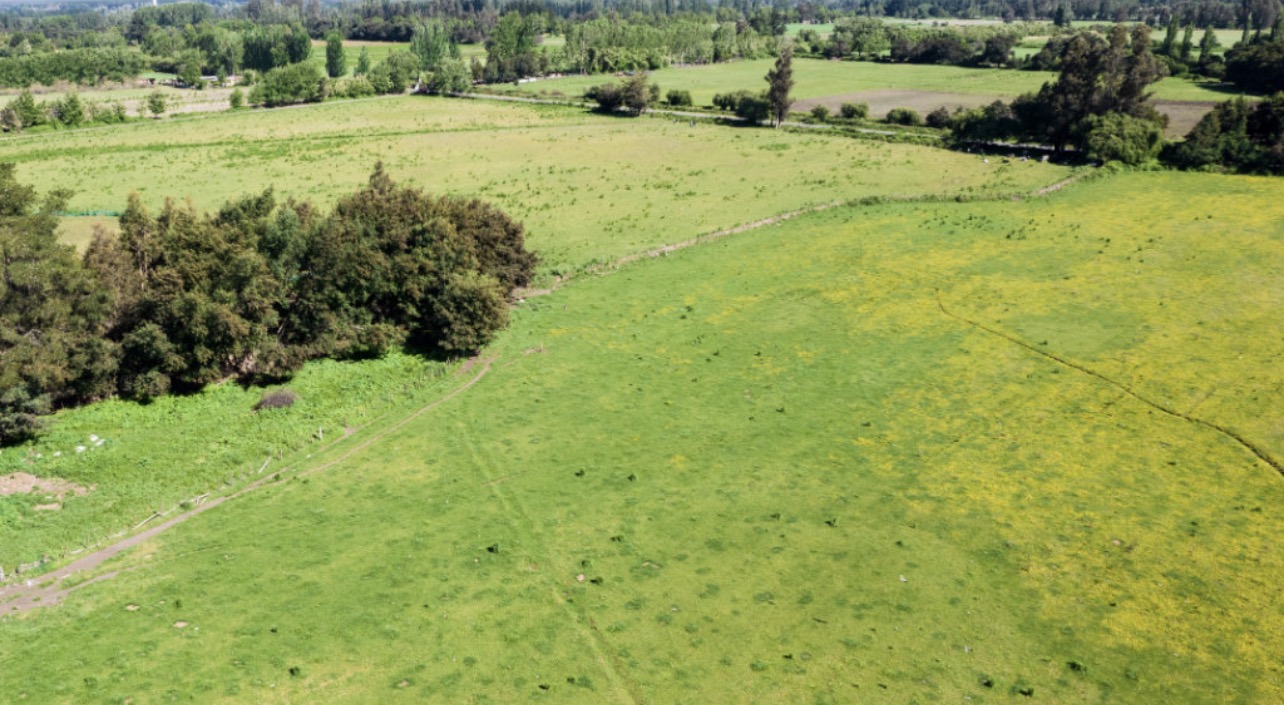 Vista aérea de Estancia Victoria