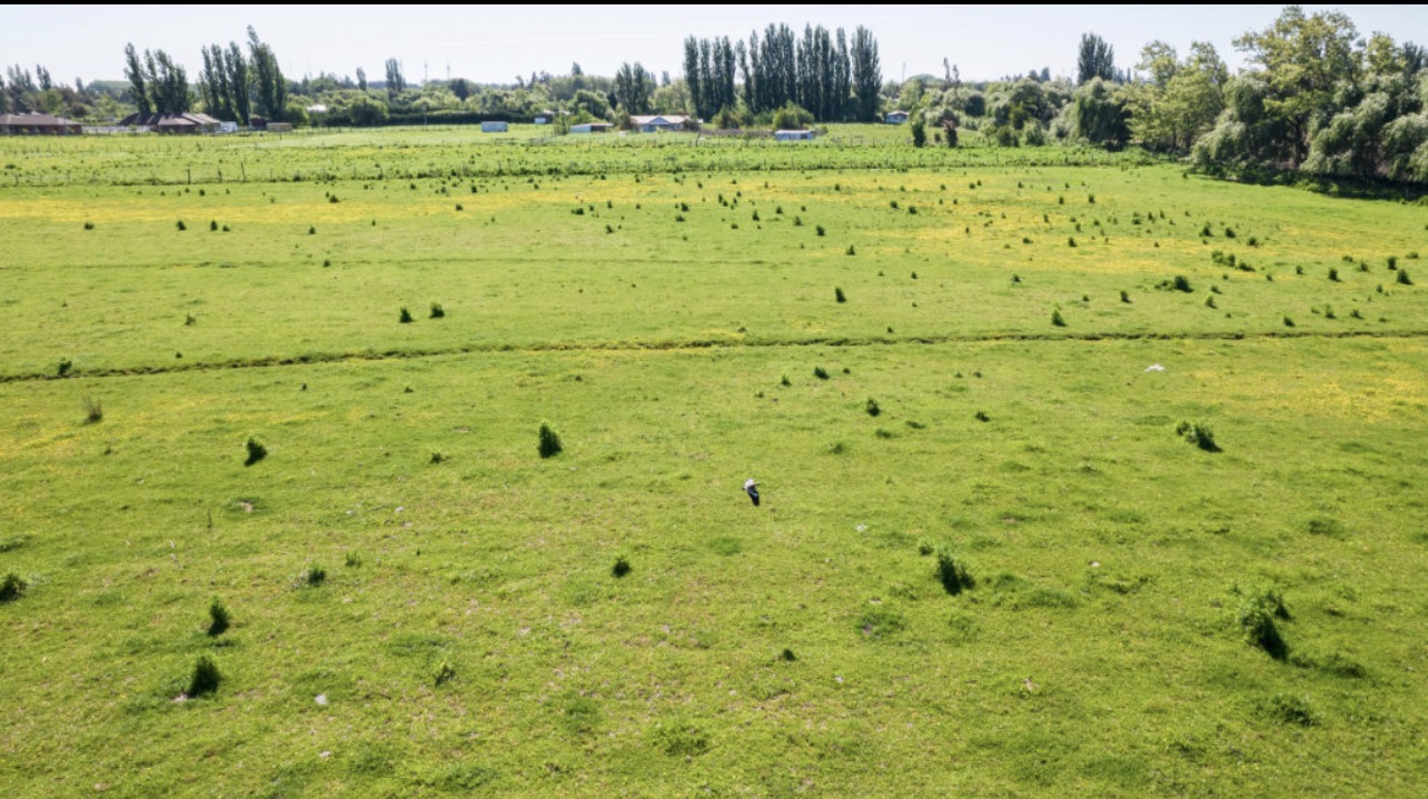 Praderas de Estancia Victoria