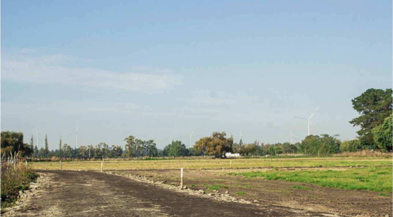 Campo y flores de Estancia Victoria