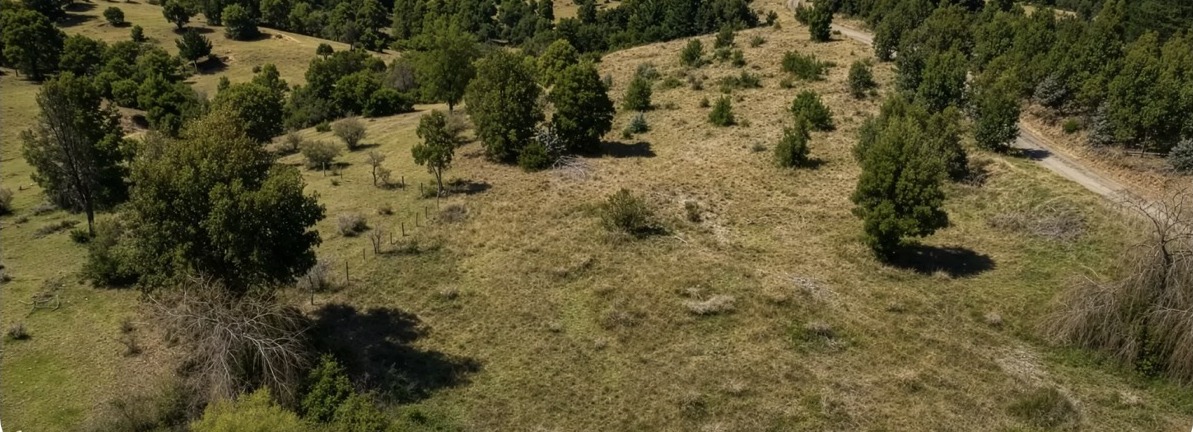 Vista del entorno de Reserva Loma Clara, imagen enviada por Massiel