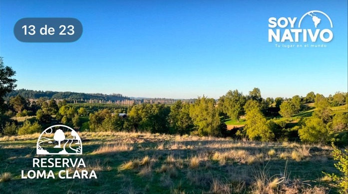 Vista del entorno de Reserva Loma Clara