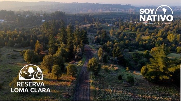 Vista panorámica de Reserva Loma Clara
