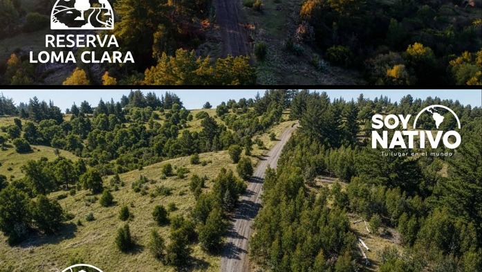 Camino y paisaje de Reserva Loma Clara