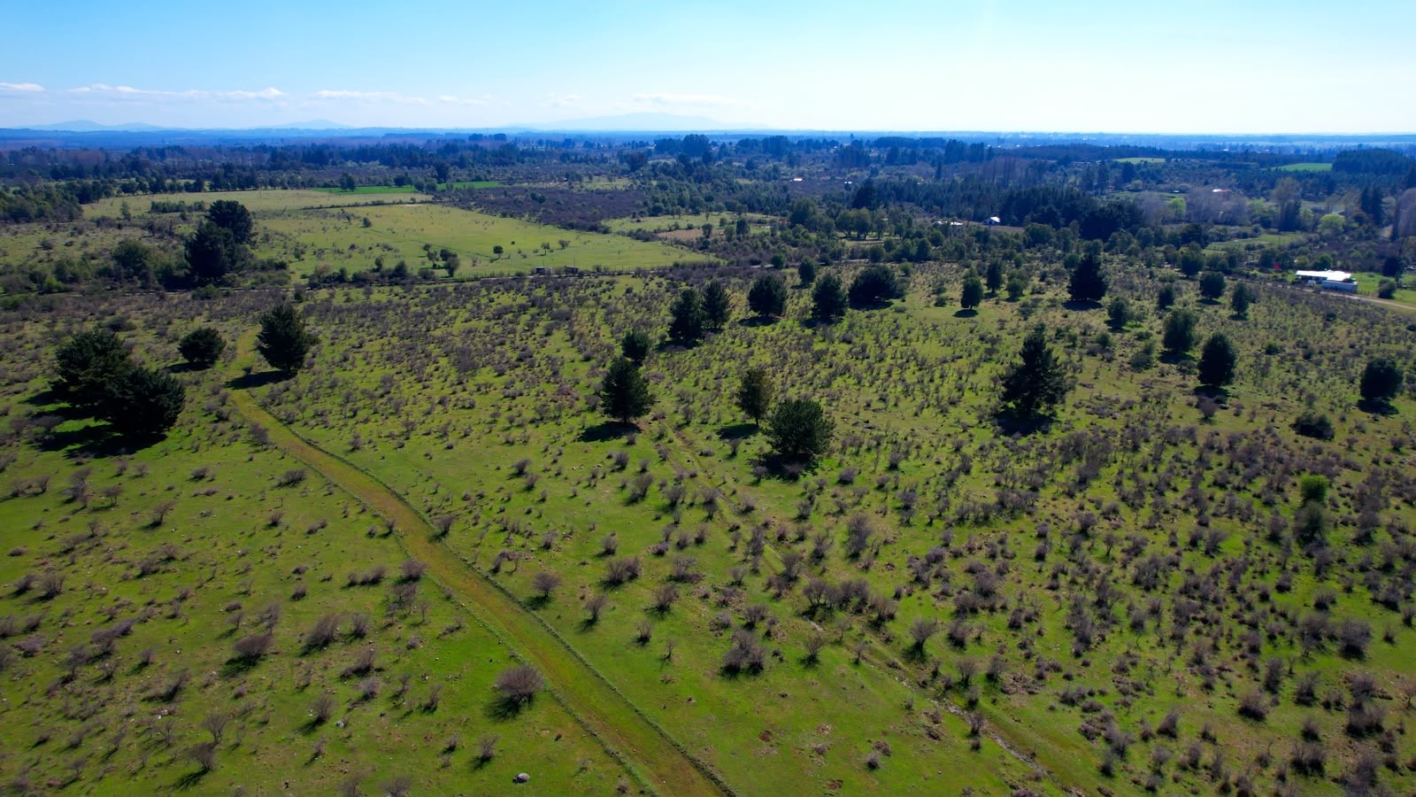Vista aérea real de Praderas de Pemuco, imagen enviada por Massiel