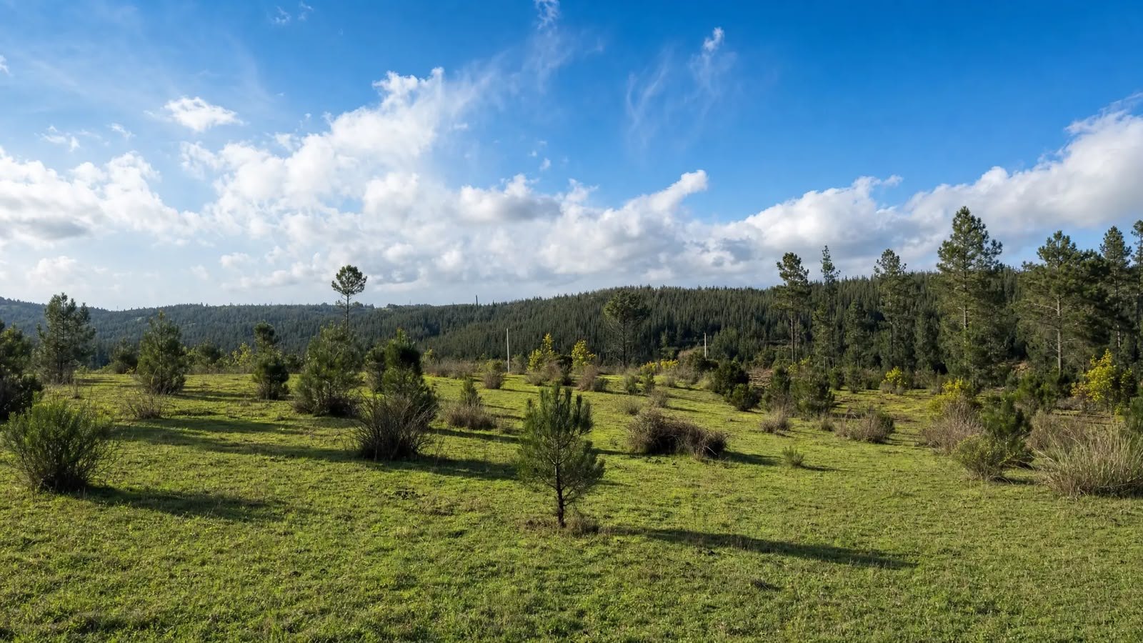 Terreno abierto en Reserva Florida