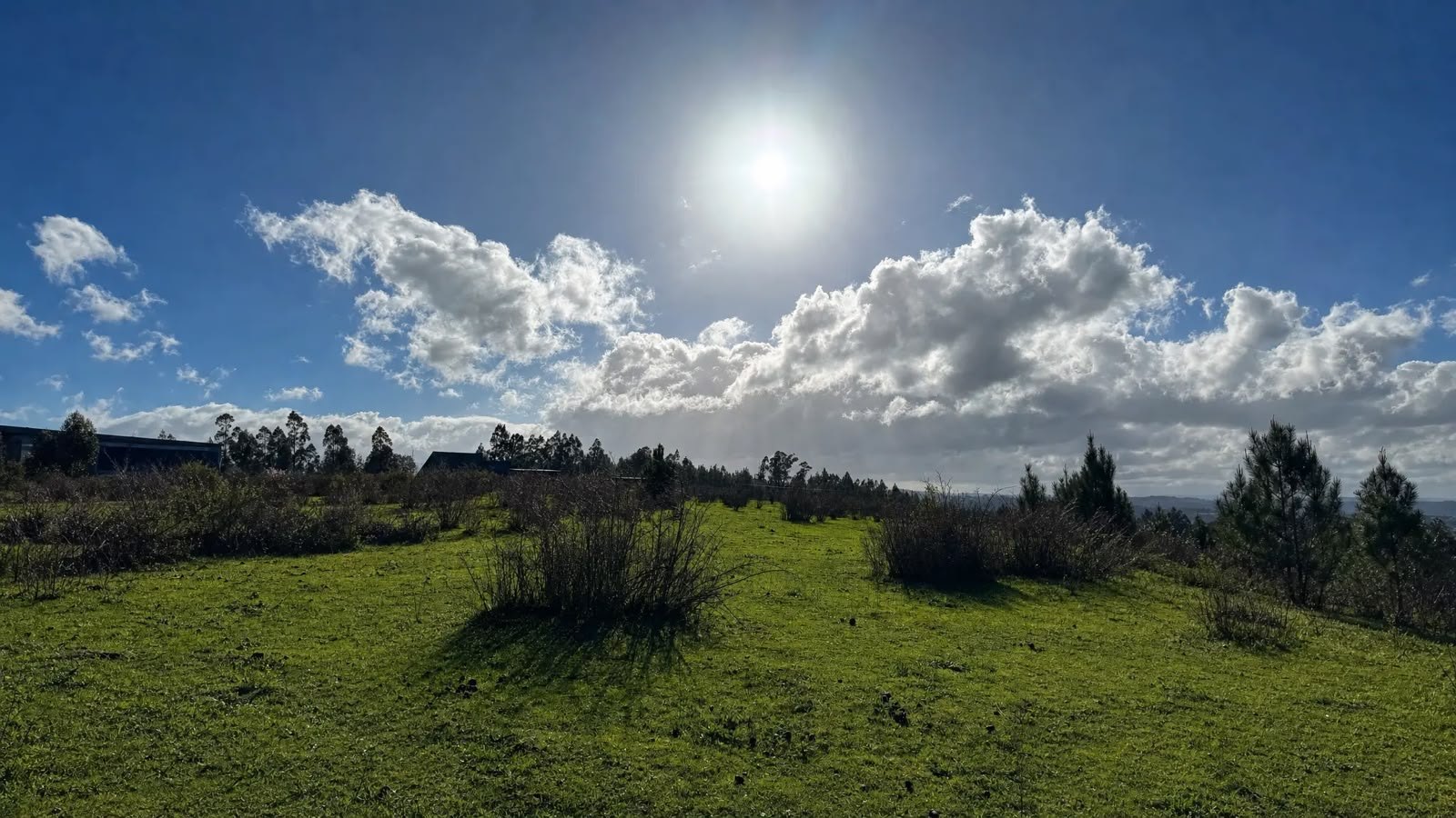 Vista del terreno y cielo de Reserva Florida