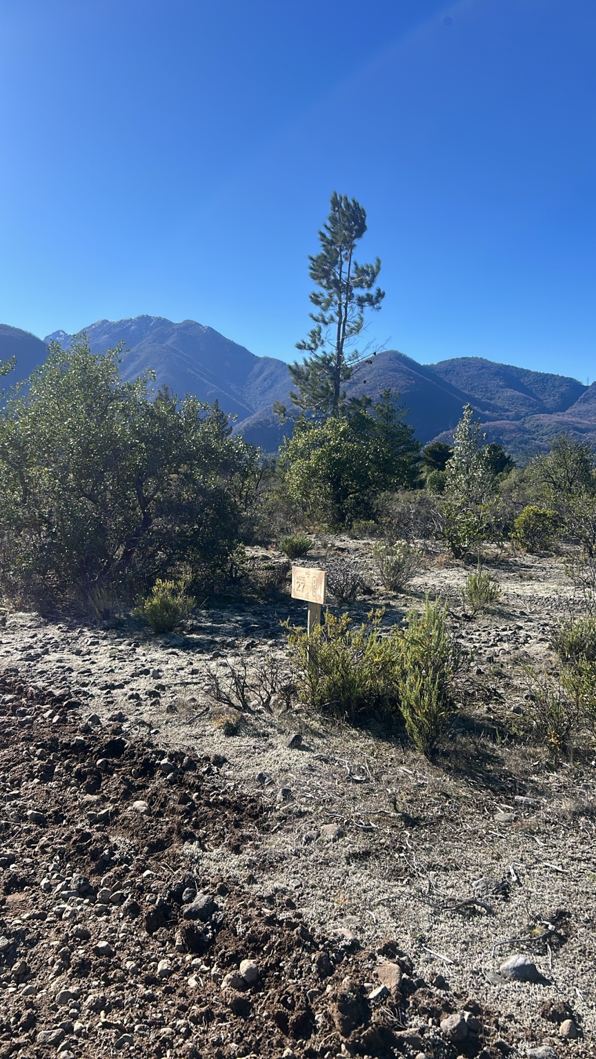 Vista del terreno cordillerano de Riberas de Antuco