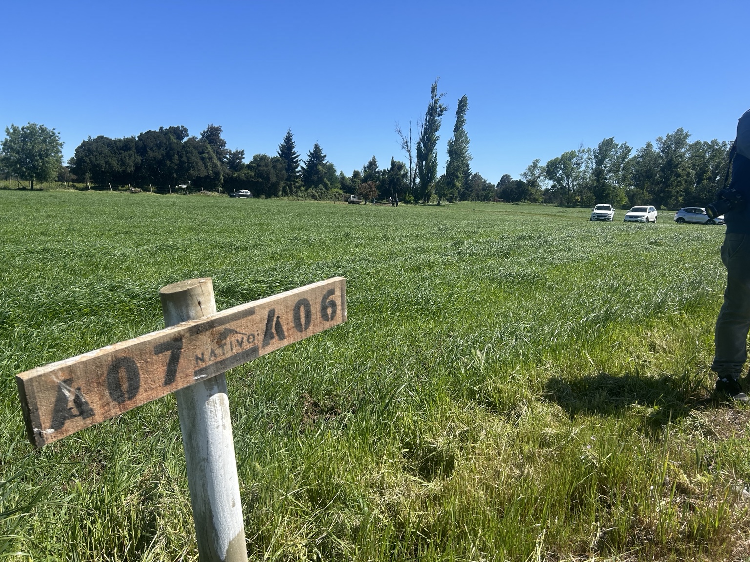Señal de lote en Verde Pradera