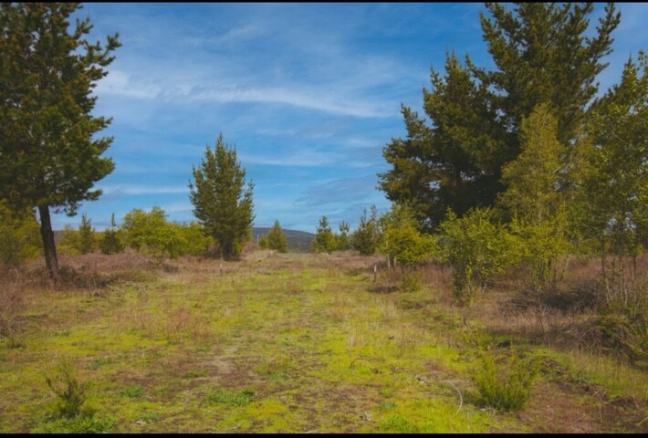 Terreno y vegetación en Vive Riviera